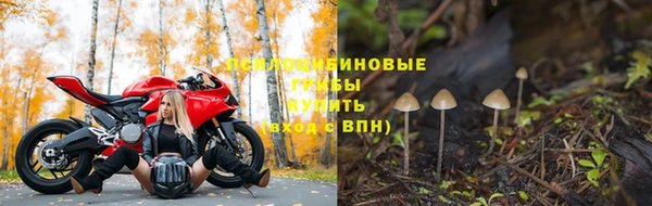ECSTASY Балабаново