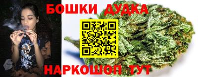 стафф Моздок