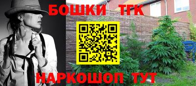стафф Моздок