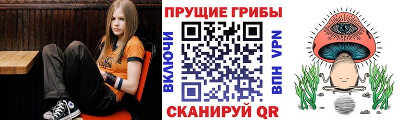 Галлюциногенные грибы Cubensis купить закладку Губкинский