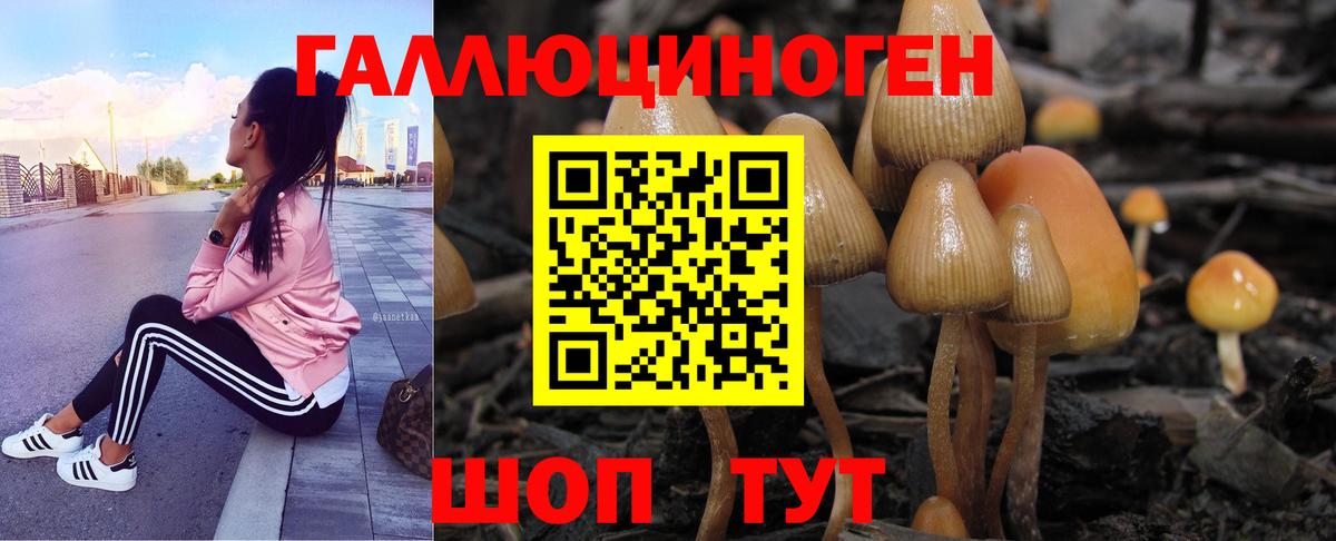 Галлюциногенные грибы ЛСД Губкинский