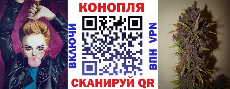 Конопля семена  Губкинский 